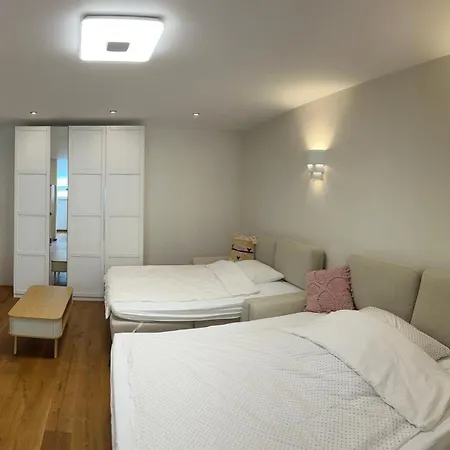 Schoene 2-zimmer-souterrainwohnung Mit Terrasse Offenburg